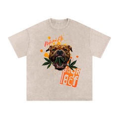 Miami FL Bully Acid Wash Oversize Street Wear Tee